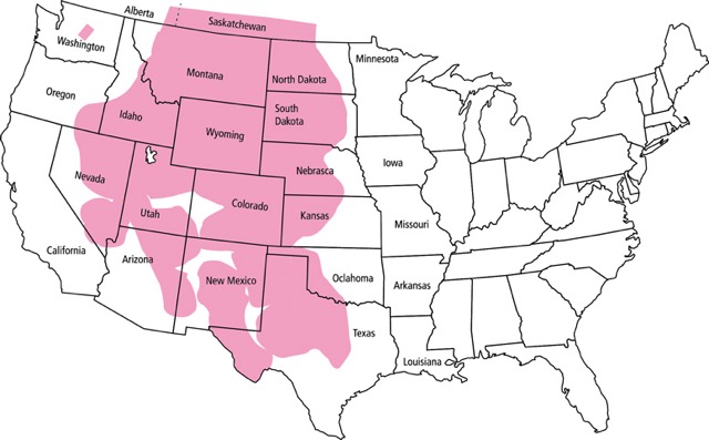 Mapka výskytu okruhu E. vivipara va přírodě v USA a Kanadě